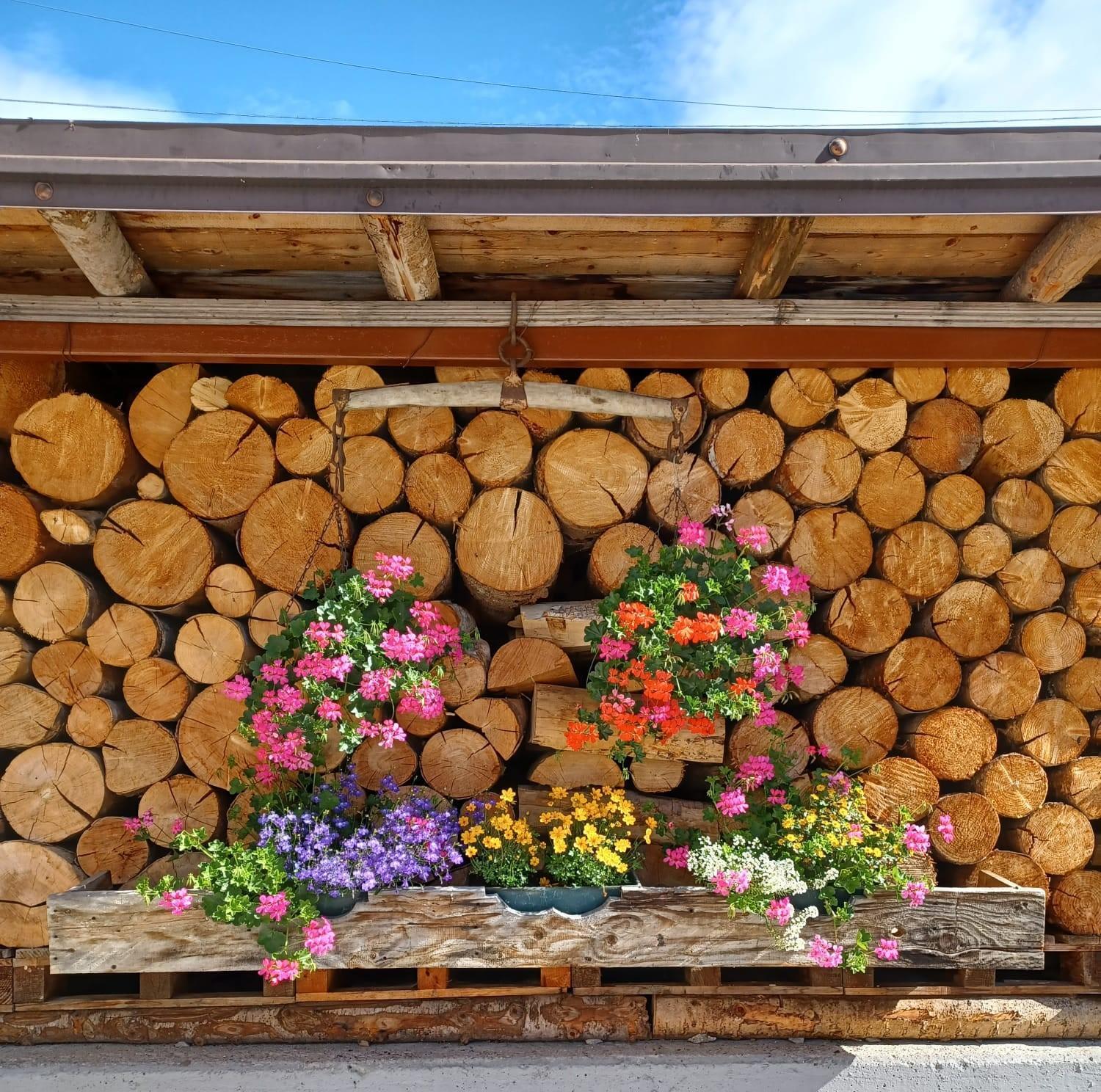 Locanda Da Pierina Santo Stefano di Cadore Kültér fotó
